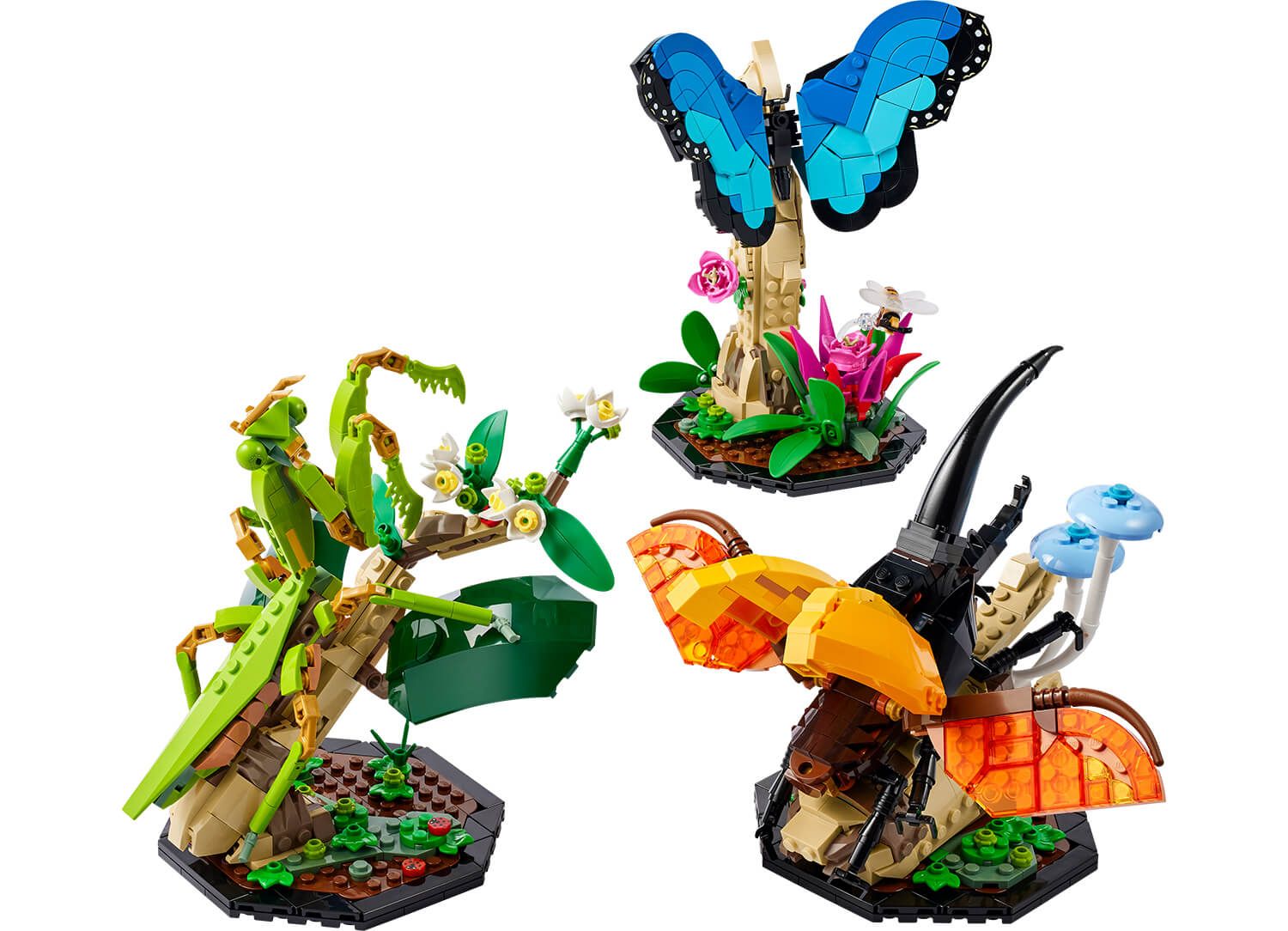 Something peculiar about the new Exotic Peacock set (31157) : r/lego