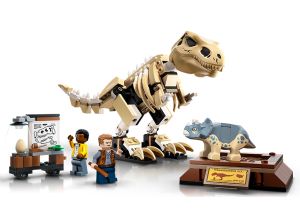 T Rex Dinosaur Fossil Exhibition