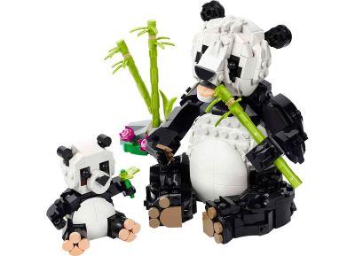 Wild Animals: Panda Family